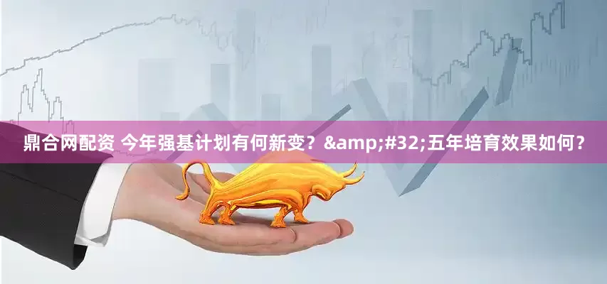 鼎合网配资 今年强基计划有何新变？&#32;五年培育效果如何？