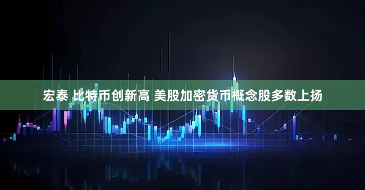 宏泰 比特币创新高 美股加密货币概念股多数上扬