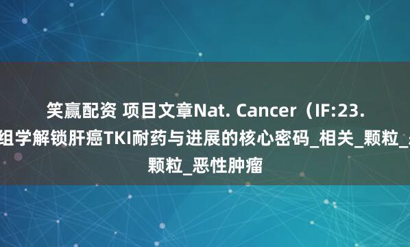 笑赢配资 项目文章Nat. Cancer（IF:23.5）｜多组学解锁肝癌TKI耐药与进展的核心密码_相关_颗粒_恶性肿瘤