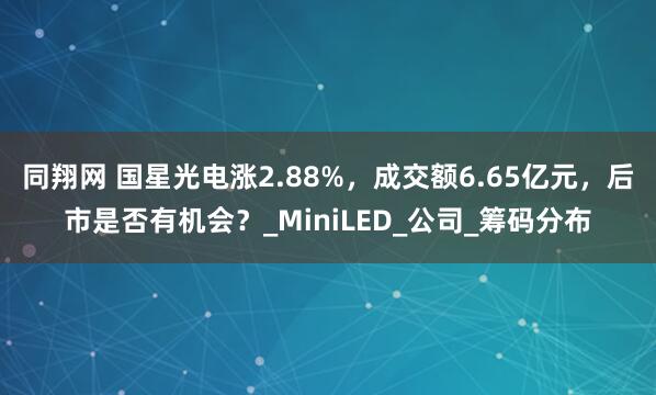 同翔网 国星光电涨2.88%，成交额6.65亿元，后市是否有机会？_MiniLED_公司_筹码分布